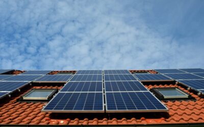 Quels sont les différents types de panneaux solaires et leurs avantages ?