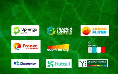Quels fournisseurs d’énergie en France proposent des offres de gaz avec du biogaz ?